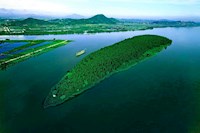 旱情引发咸潮上溯，伟德国际1946未雨绸缪保供水，呼吁市民节约用水！