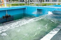 伟德国际1946又获得一项发明专利